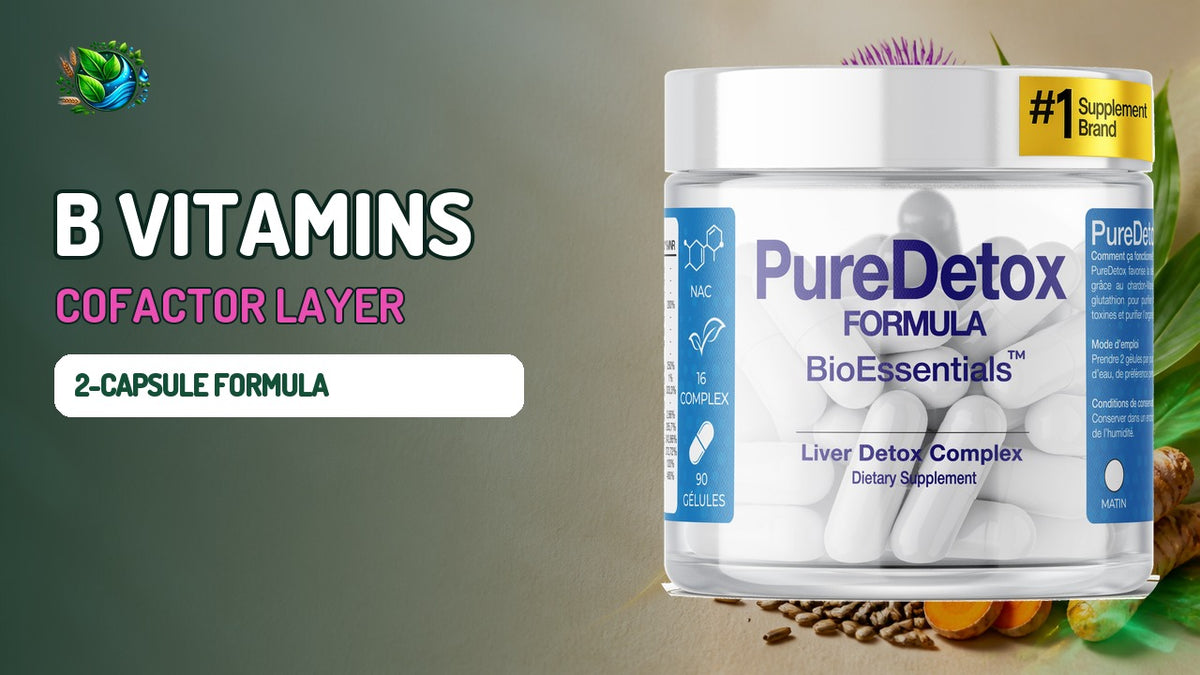 How B Vitamins Fit Into the Layered PUREDETOX Daily Formula