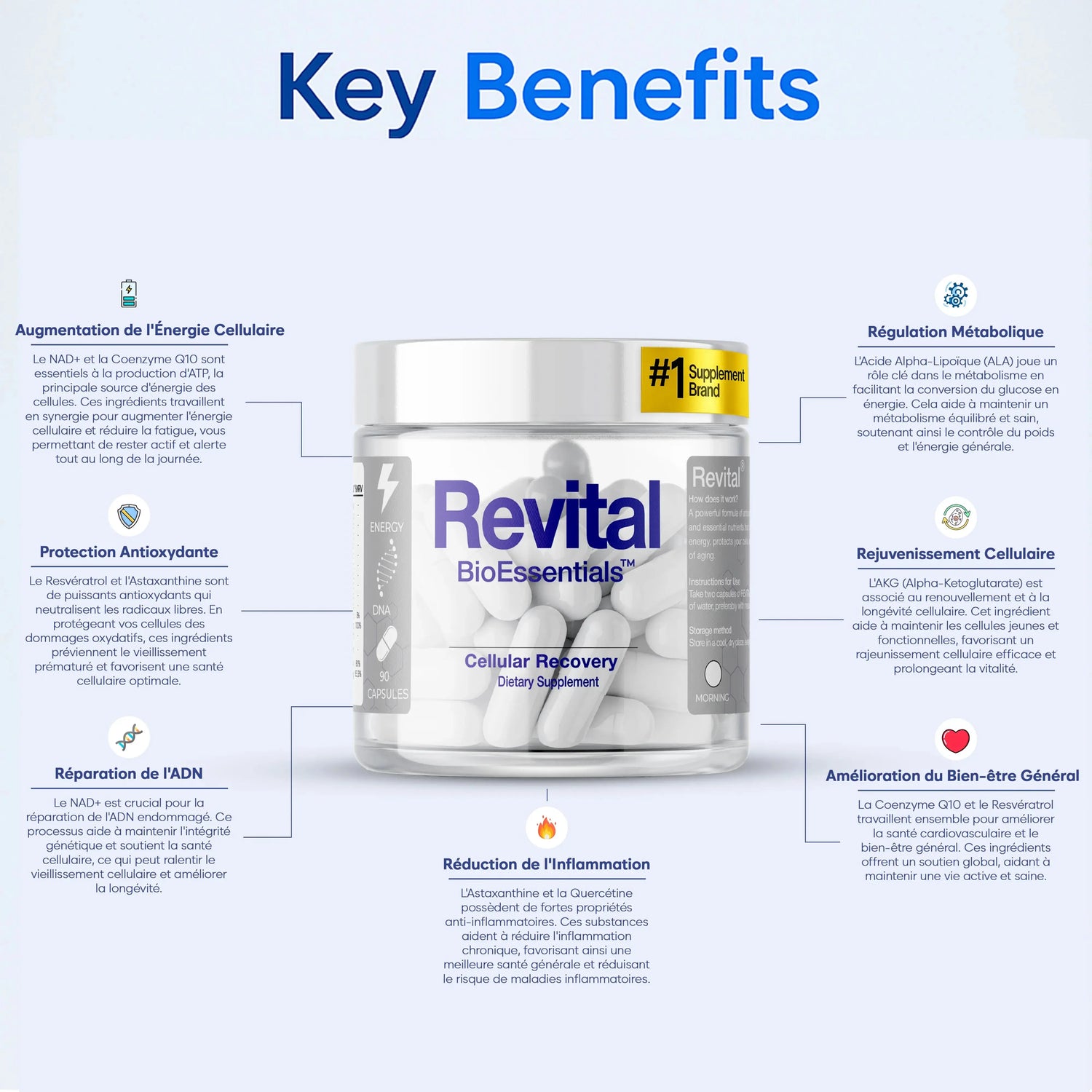 Revital BioEssentials Cellular Recovery supplement bottle with key wellness benefits in French text.