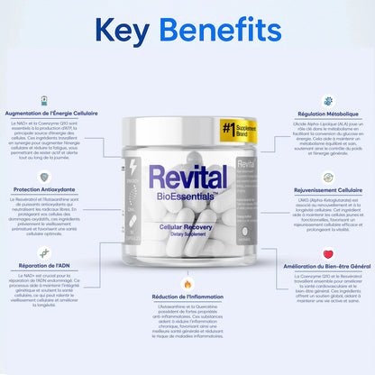Revital BioEssentials Cellular Recovery supplement bottle with key wellness benefits in French text.
