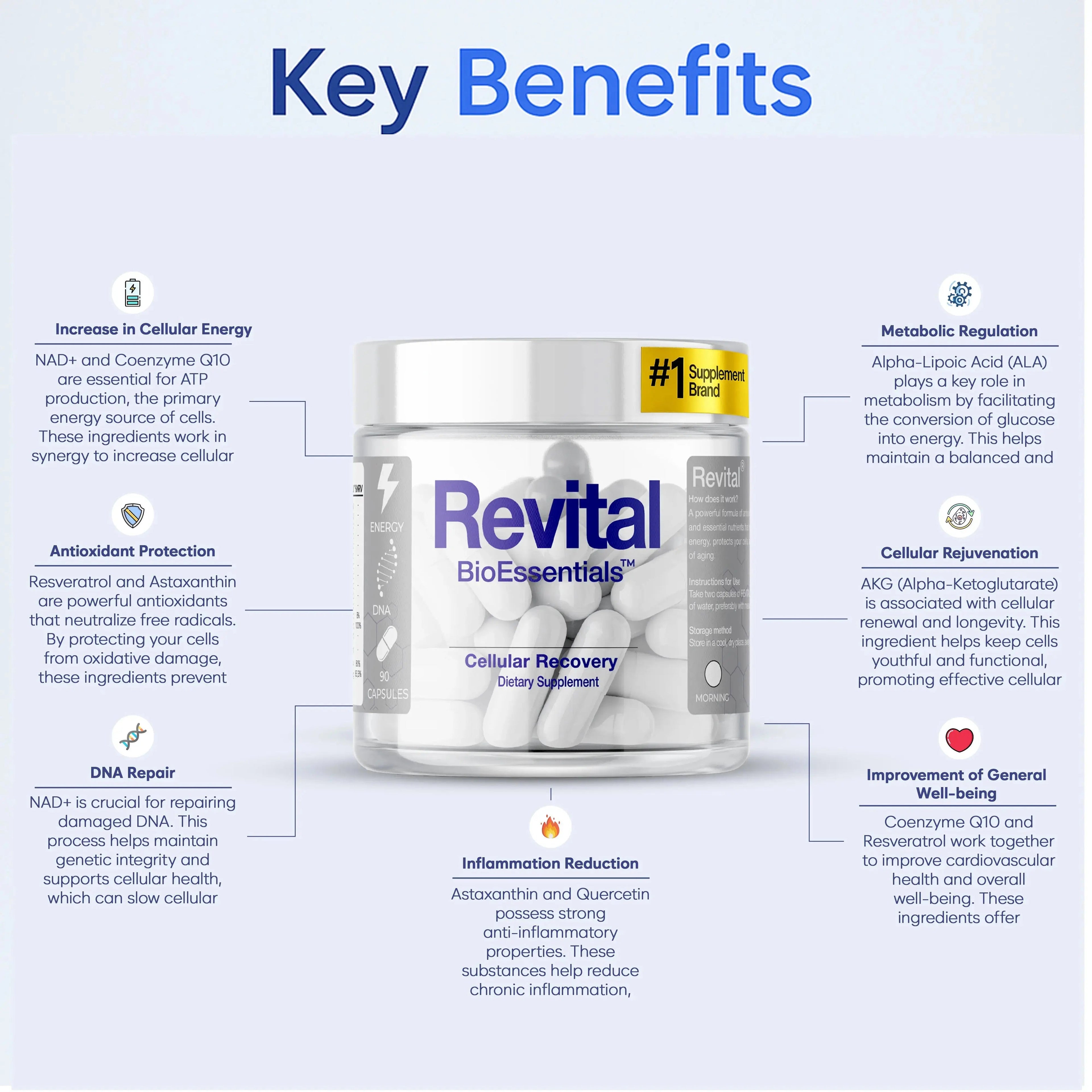 Revital BioEssentials Cellular Recovery supplement bottle with key benefits for energy, antioxidant protection, metabolism, DNA repair, cellular rejuvenation, and well-being.