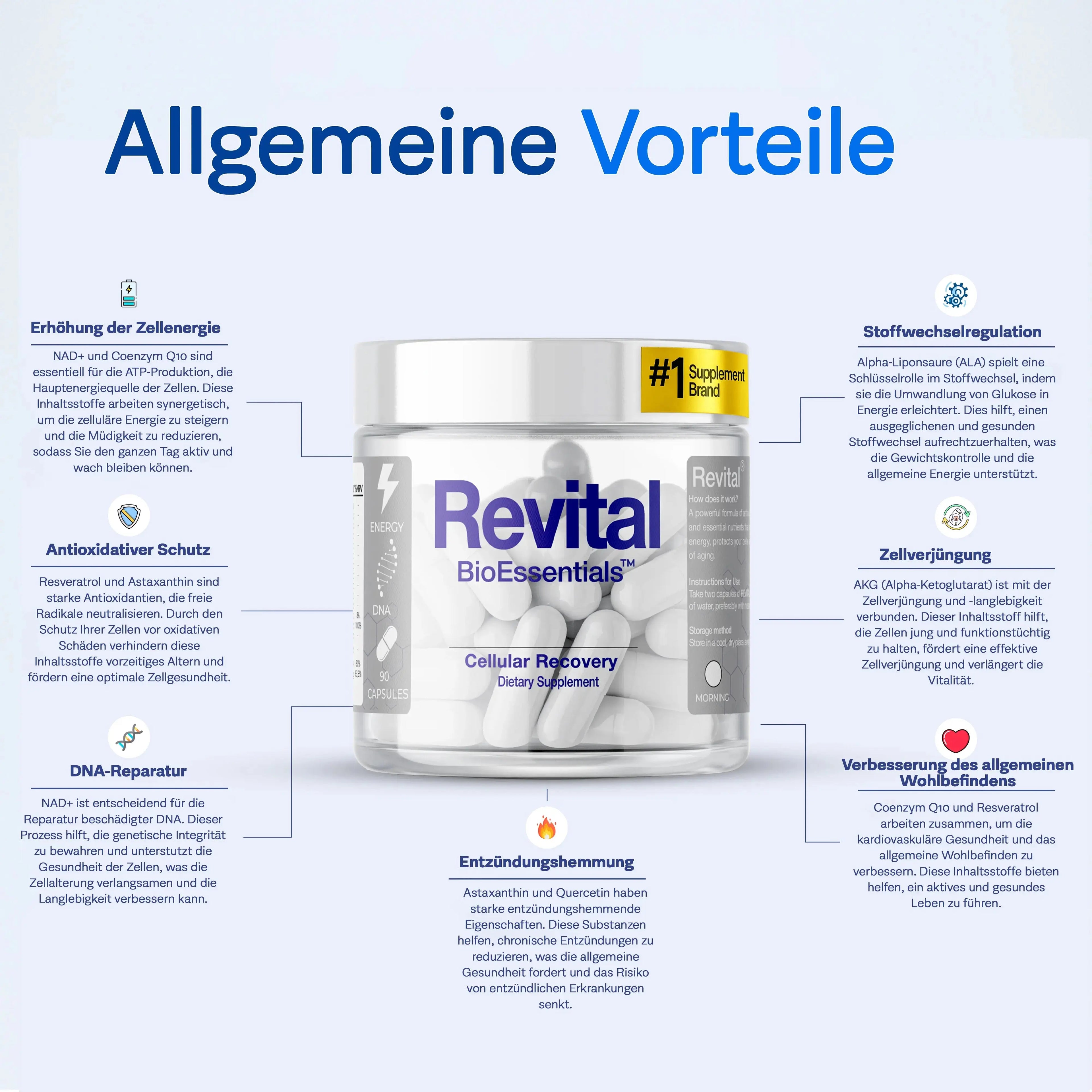 REVITAL® NAD+ Complex – Resveratrol • Shilajit • Magnesium &amp; Vitamins – Supports Cellular Well-Being, Antioxidant Balance &amp; Daily Energy for Men &amp; Women BioEssentials