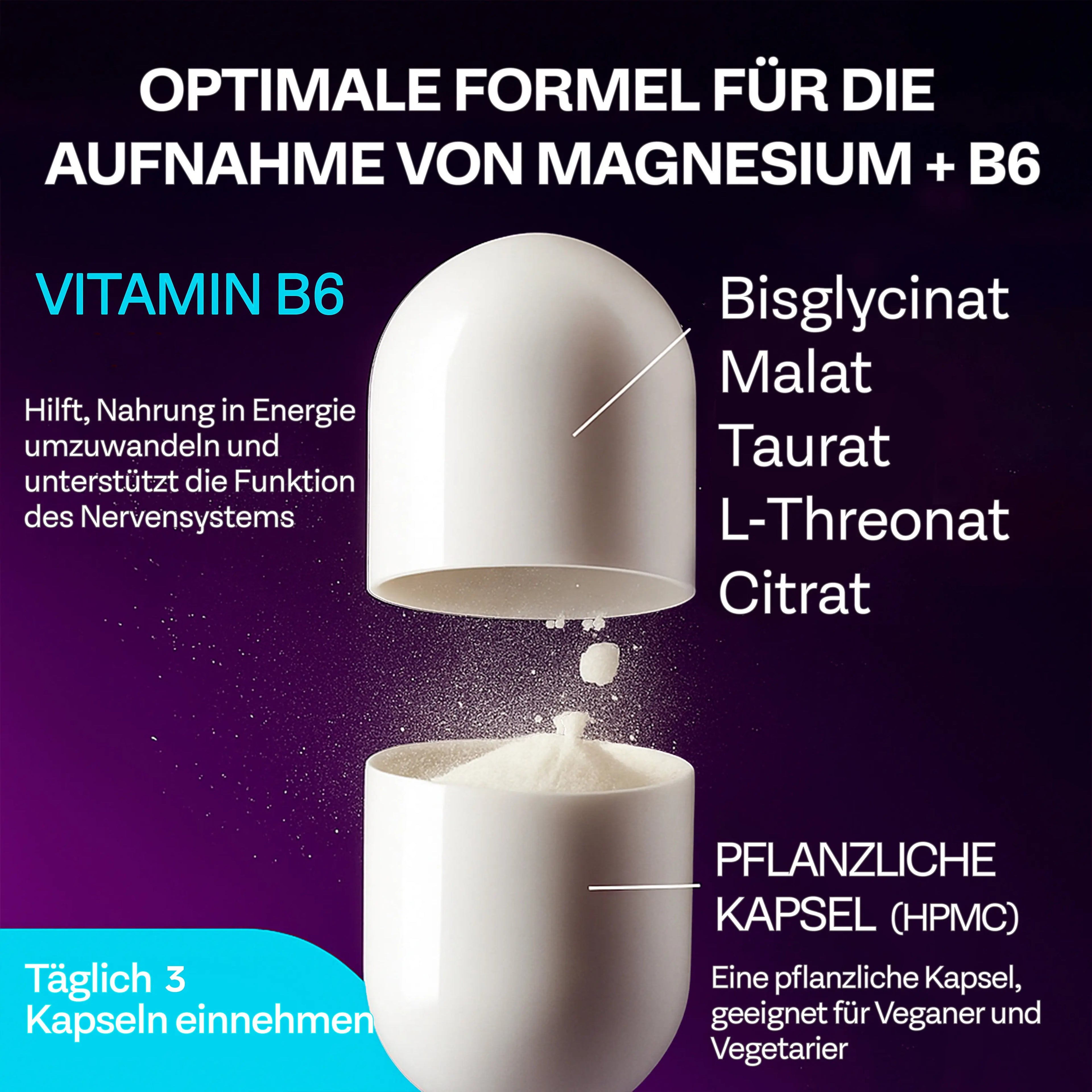 MAGNESIUM 5® 1950 mg – High-Absorption 5-Form &amp; Complex Full-Spectrum Magnesium - L-Threonate, Bisglycinate, Malate, Taurate &amp; Citrate BioEssentials
