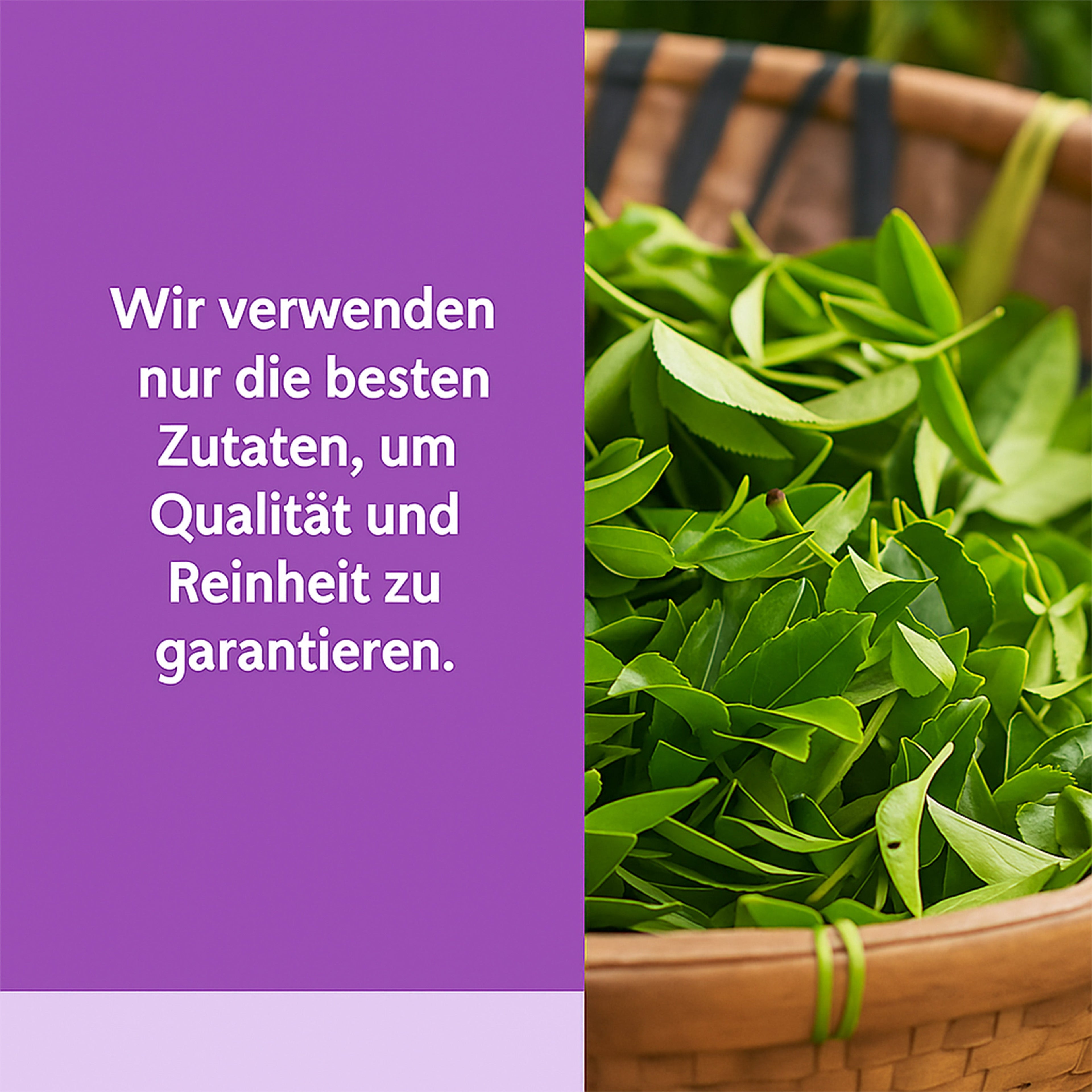 BioEssentials SleepWell Nahrungsergaenzungsmittel - Produktbild 9