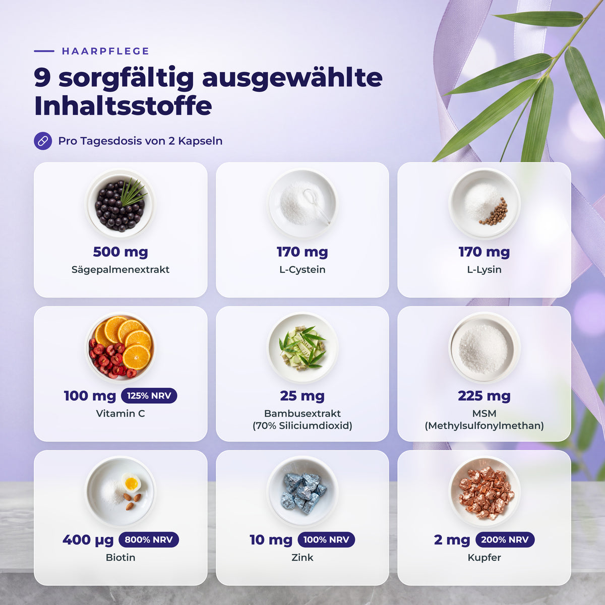 BioEssentials Kailuxe PT03 [DE] gallery-20261012:0a2676a0faae03fc