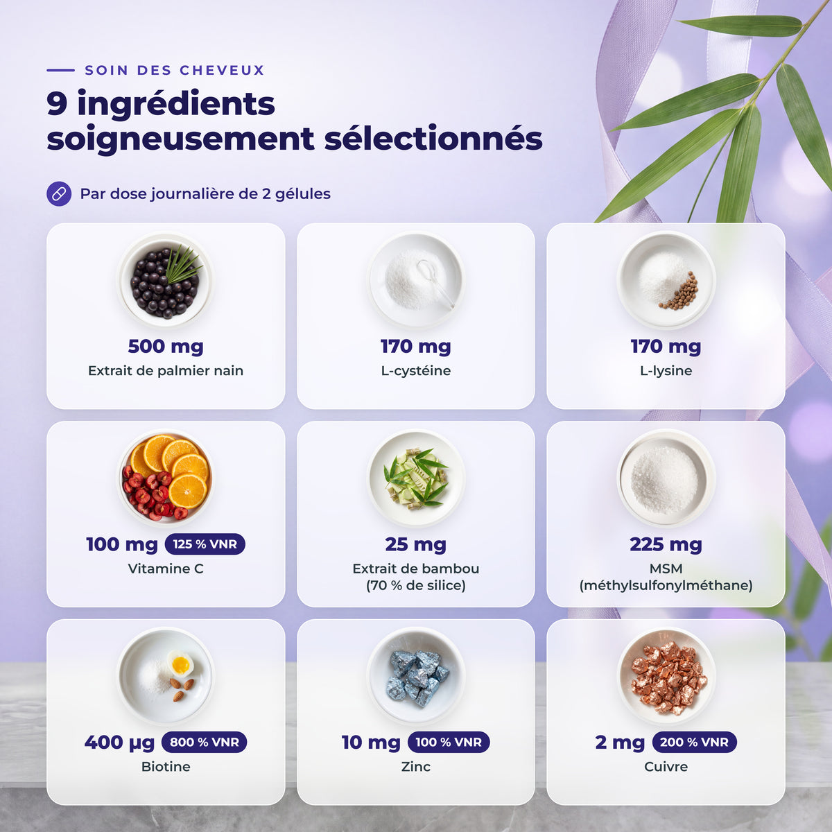 BioEssentials Kailuxe PT03 [FR] gallery-20261012:b034a56278c825d9