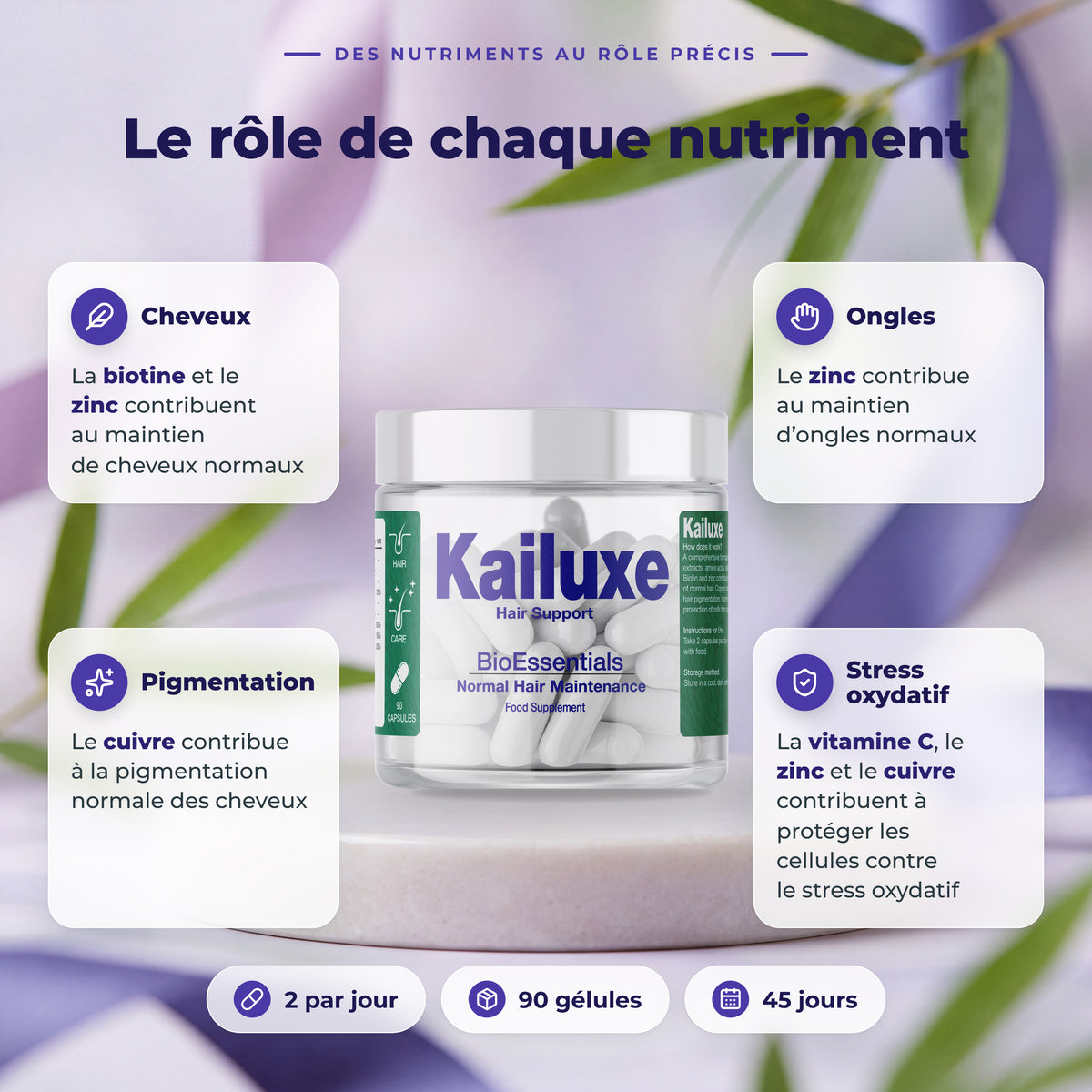 BioEssentials Kailuxe PT04 [FR] gallery-20261012:037380a8b4bc58e8