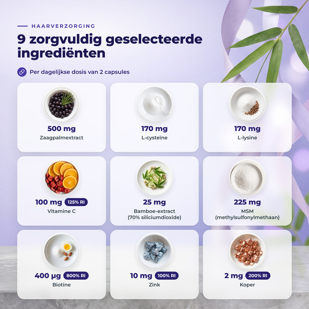 BioEssentials Kailuxe PT03 [NL] gallery-20261012:af5680b2439025e9