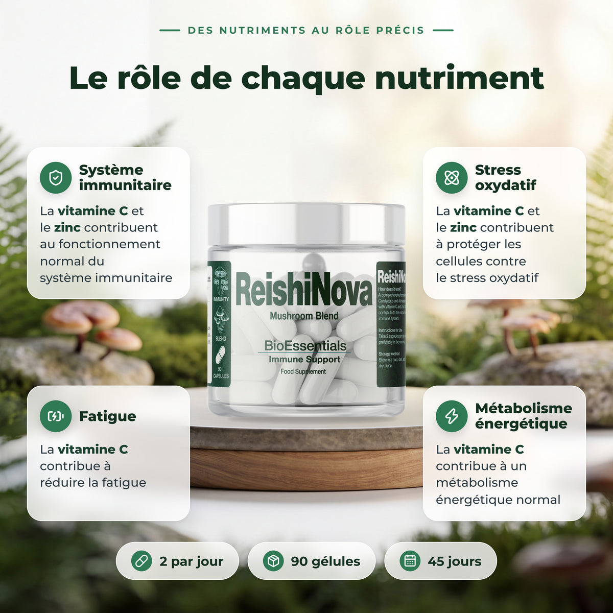 BioEssentials ReishiNova PT04 [FR] gallery-20261012:dc18584d2690091c