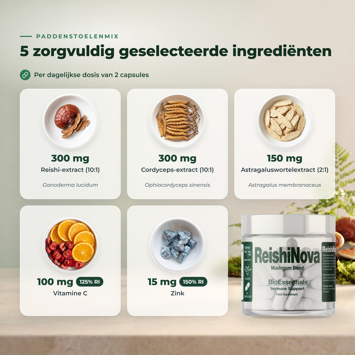 BioEssentials ReishiNova NL_INGREDIENTS [NL] gallery-20261012:938f92a3c191ac94