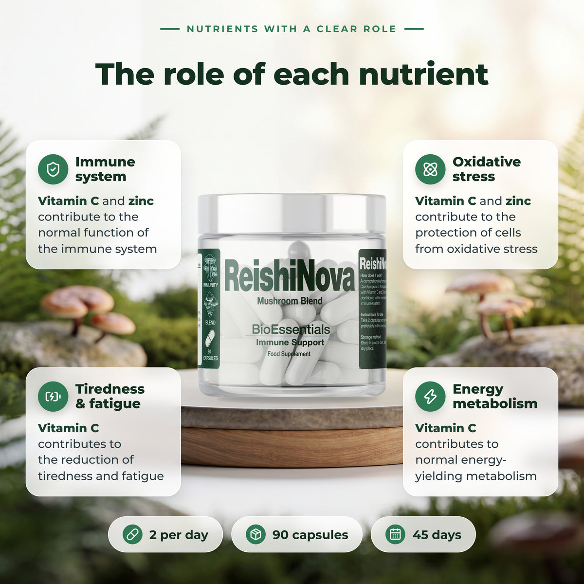 BioEssentials ReishiNova PT04 [UK] [NL] gallery-20261012:7f4fd6c663efa5c9