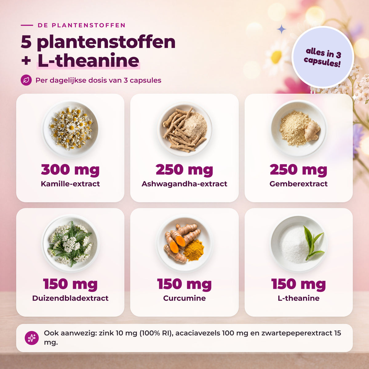 BioEssentials FemBalance PT05 [NL] be-gallery-20261026:0a024a3b38dc0ad8
