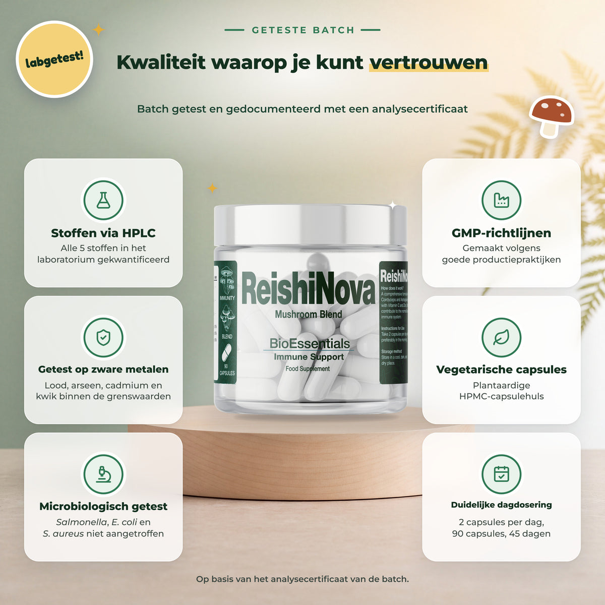 BioEssentials ReishiNova PT06 [NL] be-gallery-20261026:3c9756ec41f84600