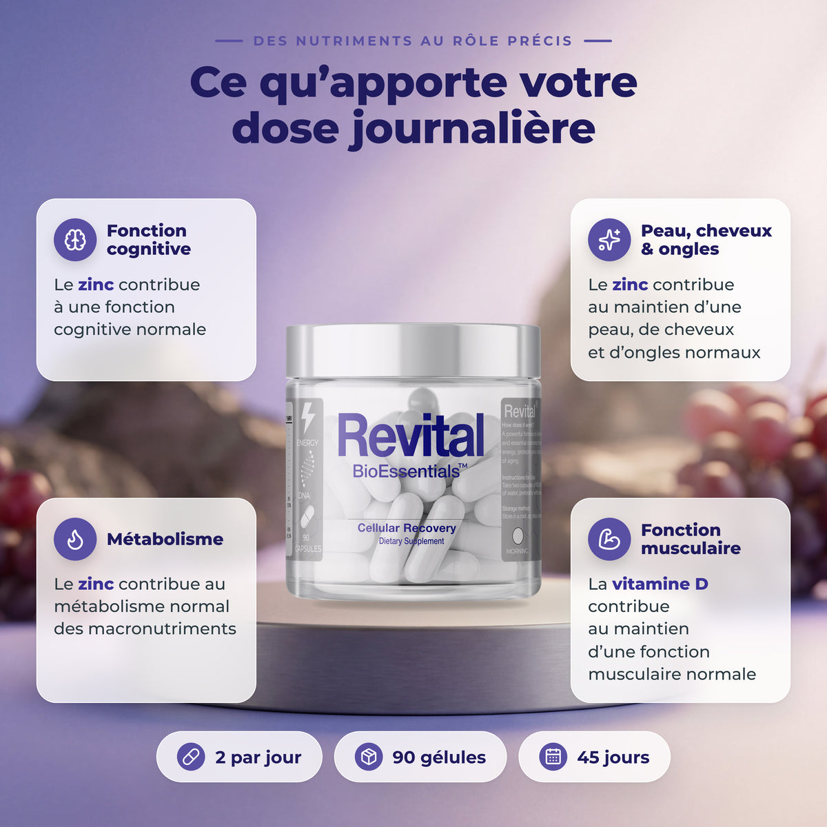 BioEssentials Revital PT04 [FR] be-gallery-20261026:4488a41ad89edebb