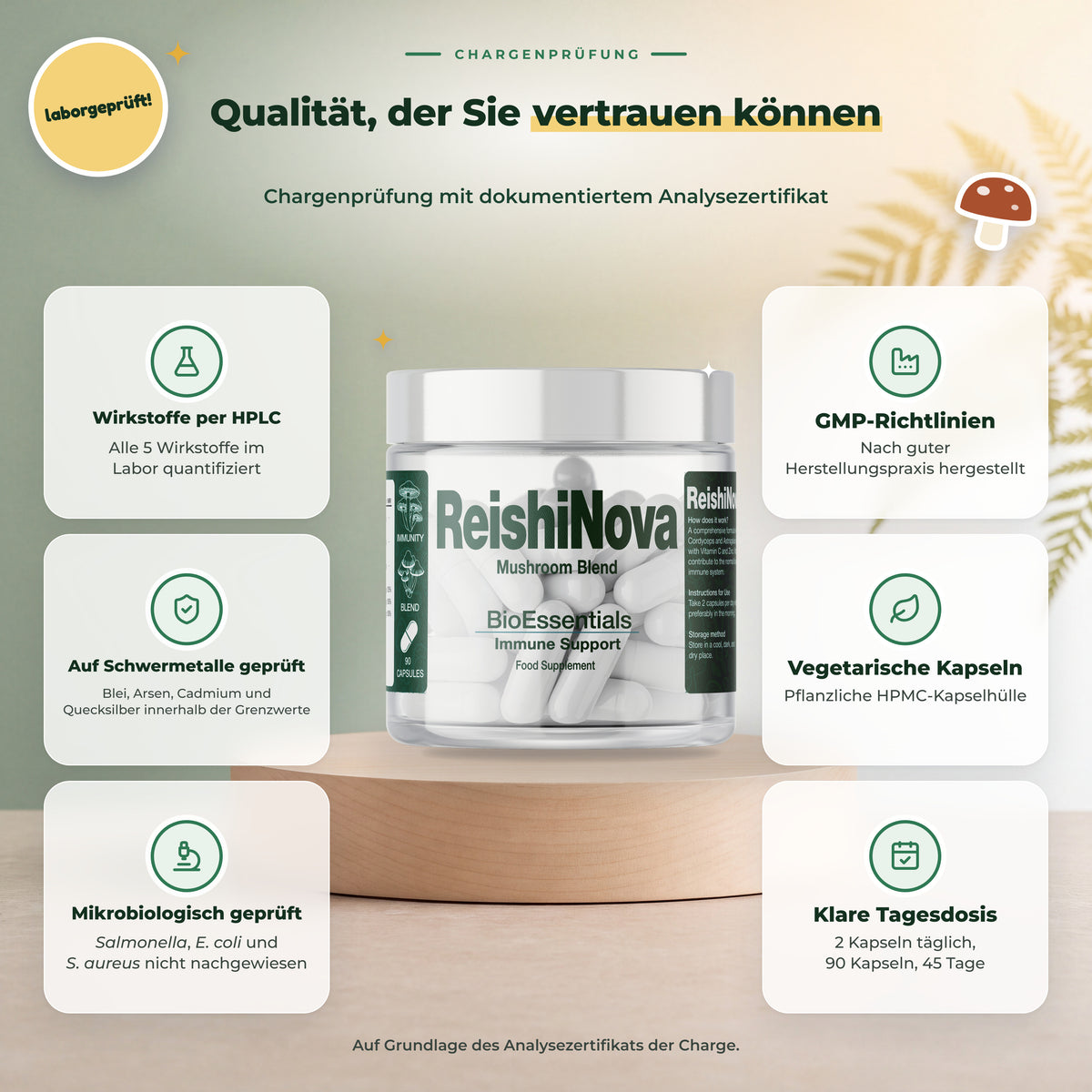 BioEssentials ReishiNova PT06 [DE] be-gallery-20261026:49c25beef88a0dec