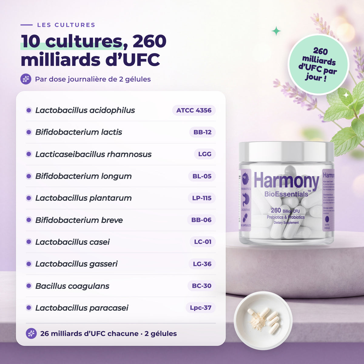 BioEssentials Harmony PT05 [FR] be-gallery-20261026:4c984a50bf38c4f3
