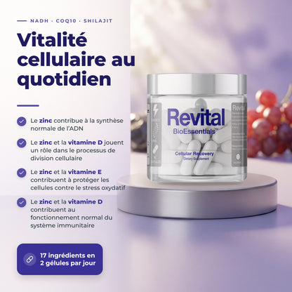BioEssentials Revital PT09 [FR] be-gallery-20261026:5f9755a7602fccd6