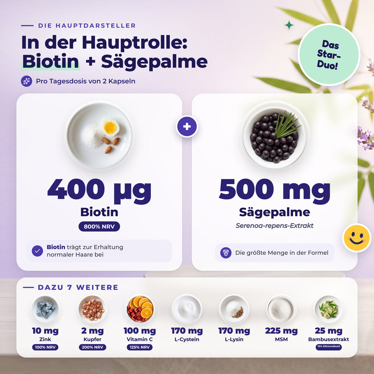 BioEssentials Kailuxe PT02 [DE] be-gallery-20261026:6be78ecb8fe16547