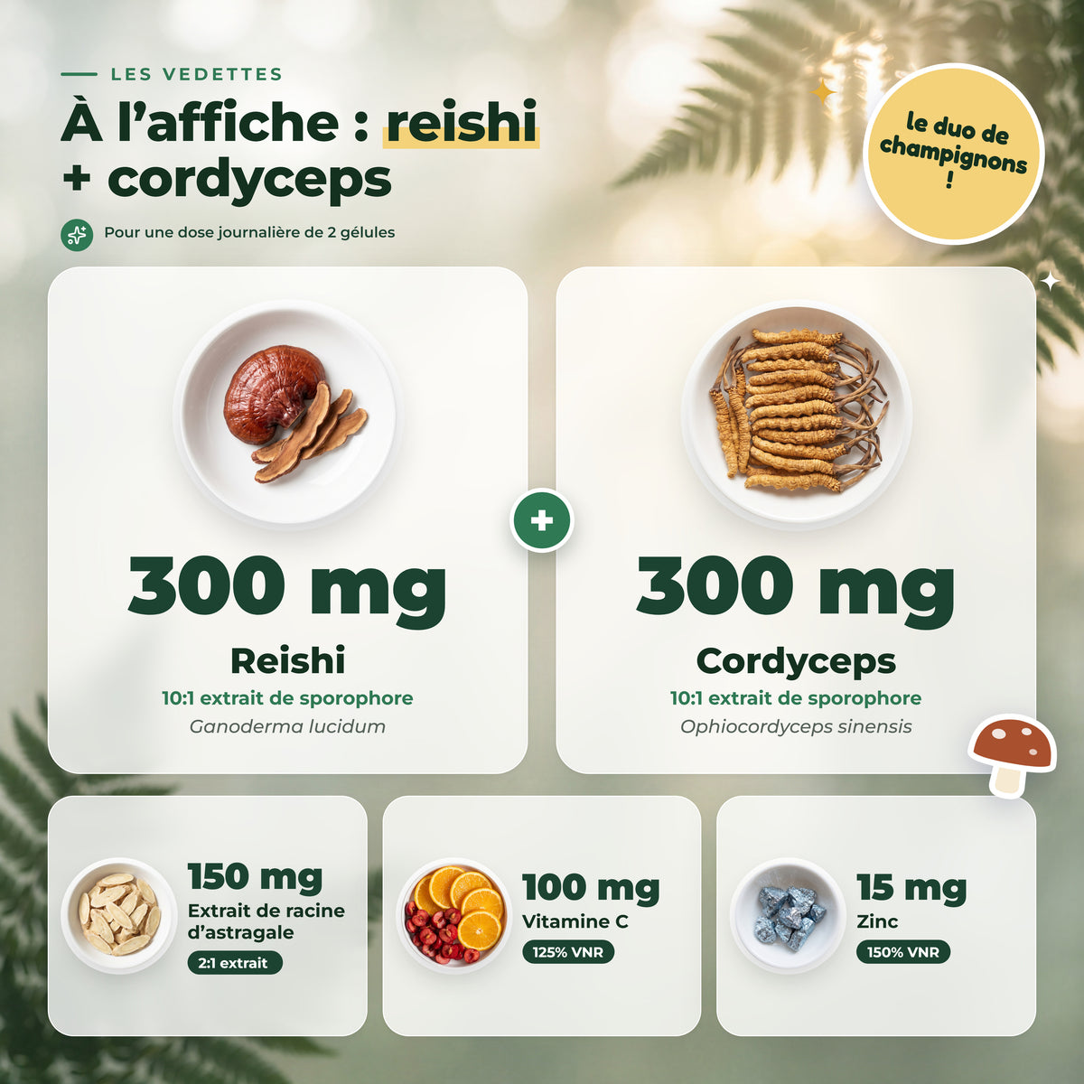 BioEssentials ReishiNova PT02 [FR] be-gallery-20261026:706a6daca2a56b92
