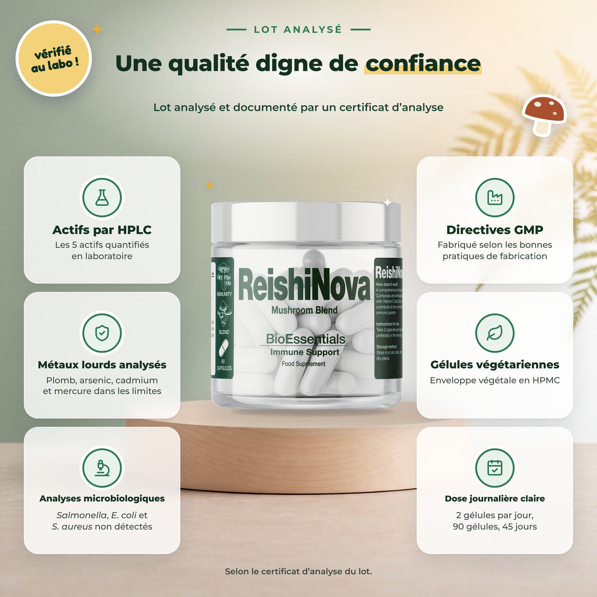 BioEssentials ReishiNova PT06 [FR] be-gallery-20261026:80f7d3c0bde96fae