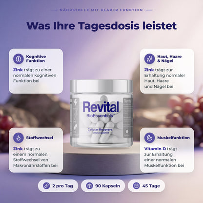 BioEssentials Revital PT04 [DE] be-gallery-20261026:94480cfdc7e2b12f