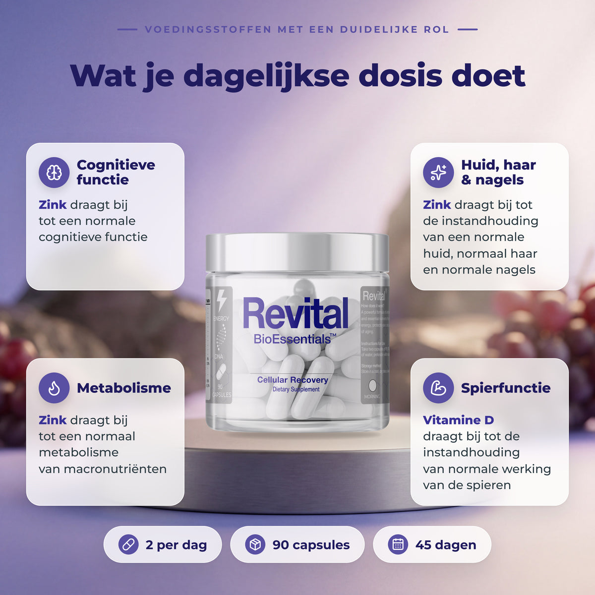BioEssentials Revital PT04 [NL] be-gallery-20261026:9911ea9211cabf43