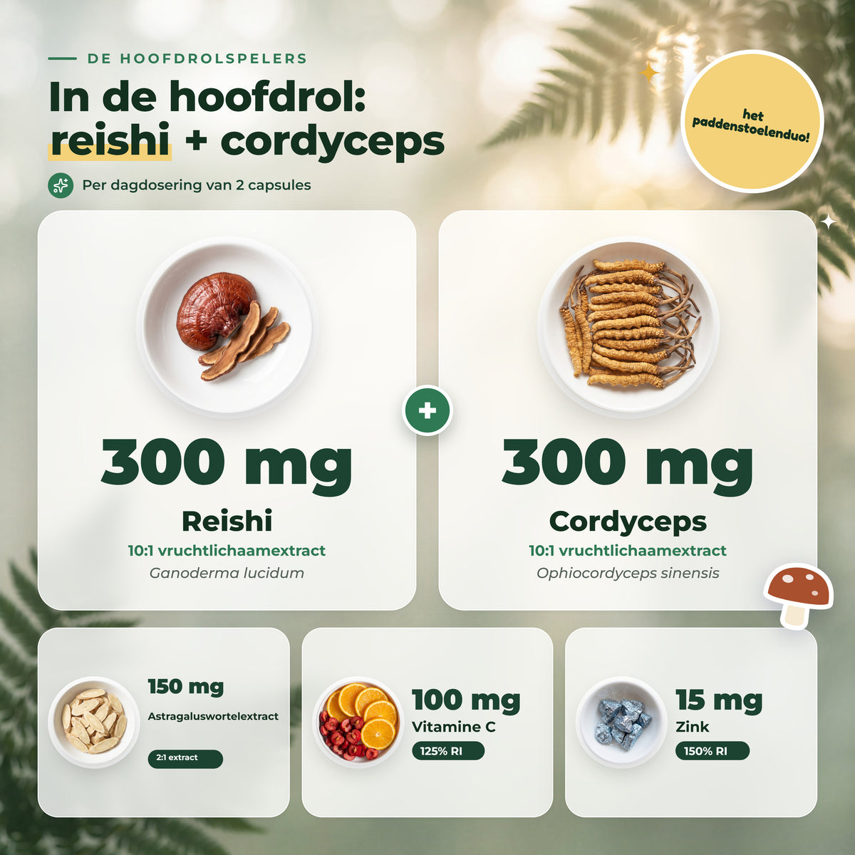 BioEssentials ReishiNova PT02 [NL] be-gallery-20261026:b5e37713489291da