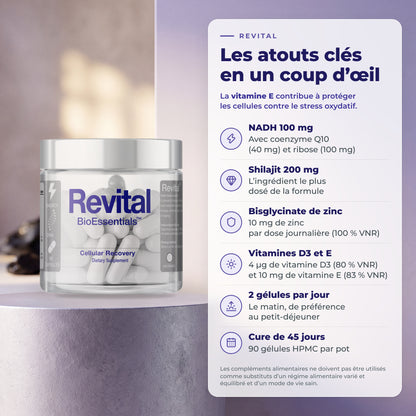 BioEssentials Revital PT06 [FR] be-gallery-20261026:c557d4126de2dca3