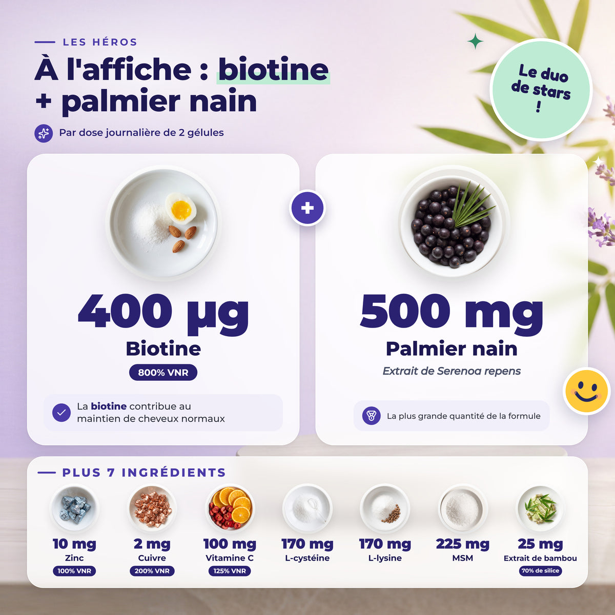 BioEssentials Kailuxe PT02 [FR] be-gallery-20261026:cdcb1c1750062e29