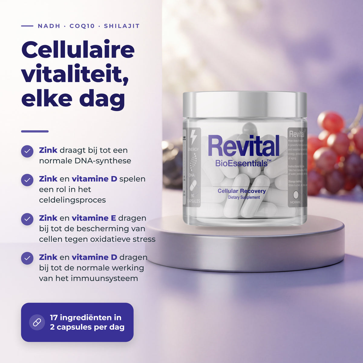 BioEssentials Revital PT09 [NL] be-gallery-20261026:f38e6c4c29f122c8